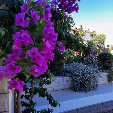 Sweet Blue Baška Voda